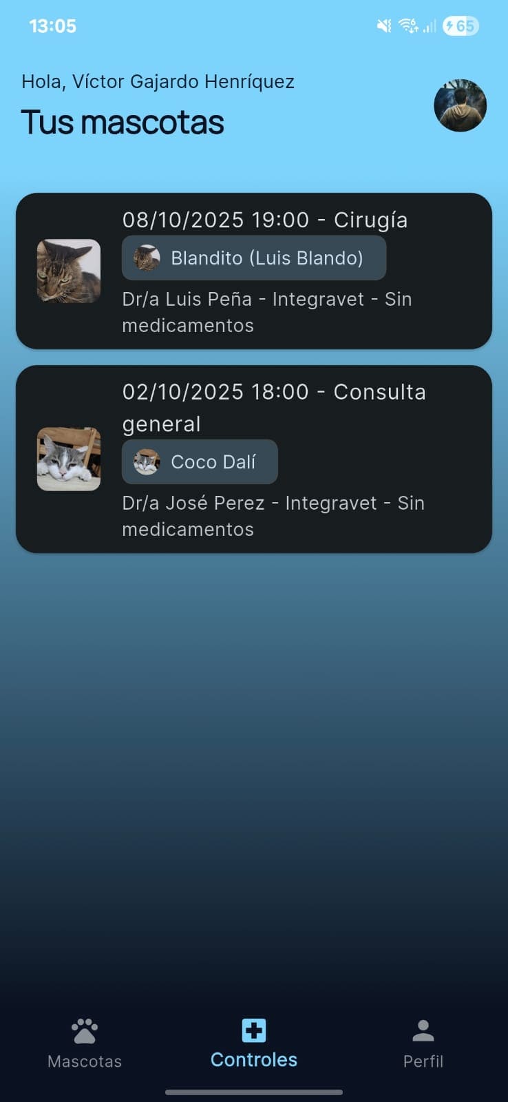 Controles pendientes